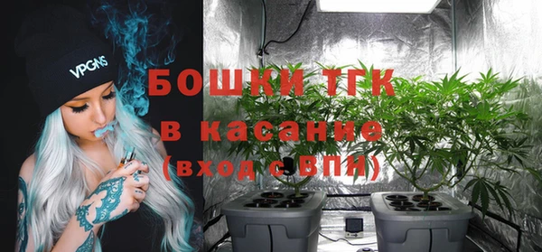 СК Алексин