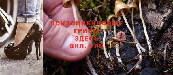 спиды Алзамай