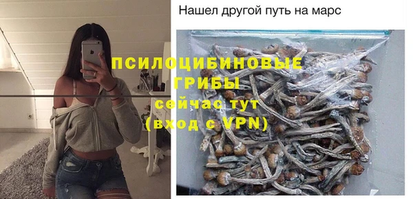 спиды Алзамай