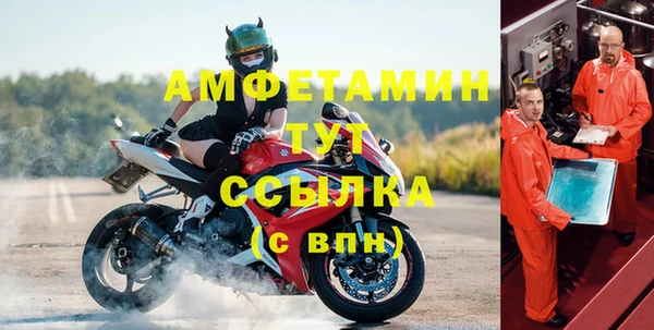 СК Алексин