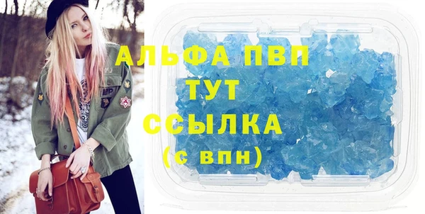 СК Алексин