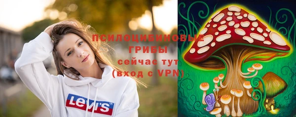 спиды Алзамай