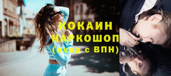 СК Алексин
